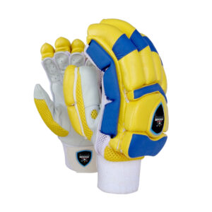 Cricket Batting Gloves