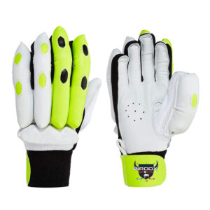 Cricket Batting Gloves