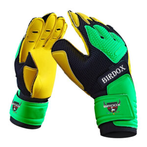 Goalkeeper Gloves