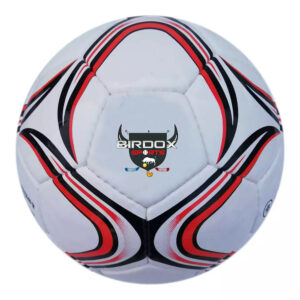 Soccer Balls
