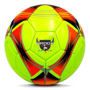 Soccer Balls