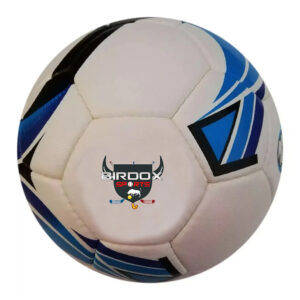 Soccer Balls
