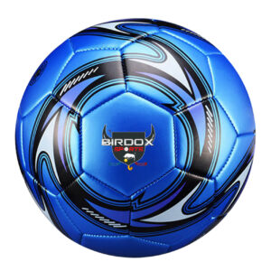Soccer Balls