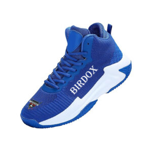 Basketball Shoes