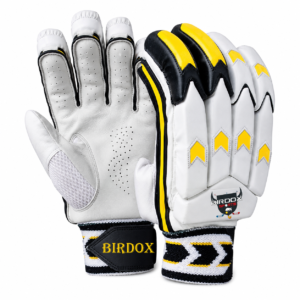 Cricket Batting Gloves