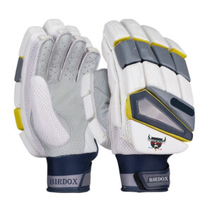Cricket Batting Gloves