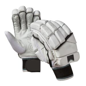Cricket Batting Gloves