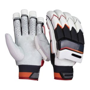 Cricket Batting Gloves