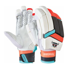 Cricket Batting Gloves