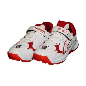 Cricket Shoes
