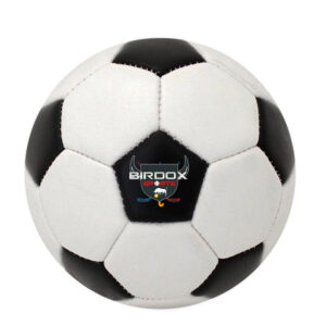 Soccer Balls