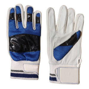Wicket Keeping Gloves
