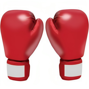 Boxing Gloves