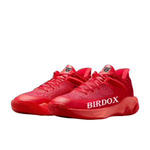Basketball Shoes