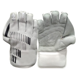 Wicket Keeping Gloves
