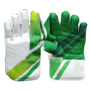 Wicket Keeping Gloves