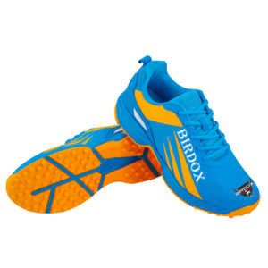 Cricket Shoes
