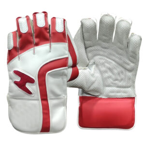 Wicket Keeping Gloves